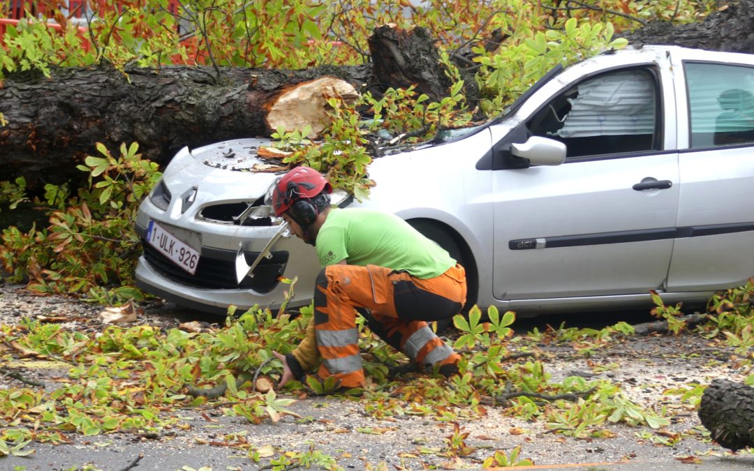 Interventions des pompiers suite aux rafales de vent