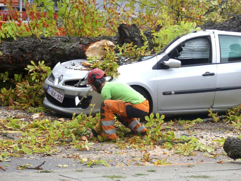 Une bonne centaine d’interventions dimanche pour les pompiers de Liège suite à la tempête