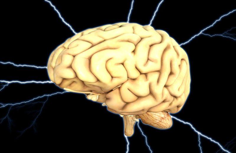 Vous êtes entrepreneur ? Le neurologue Steven Laureys souhaite étudier votre cerveau