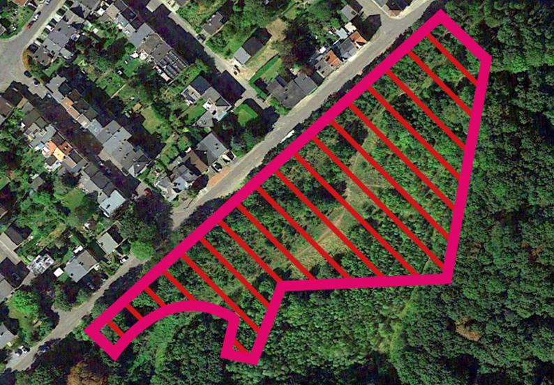 Avis favorable conditionné pour les constructions Matexi à la Chartreuse