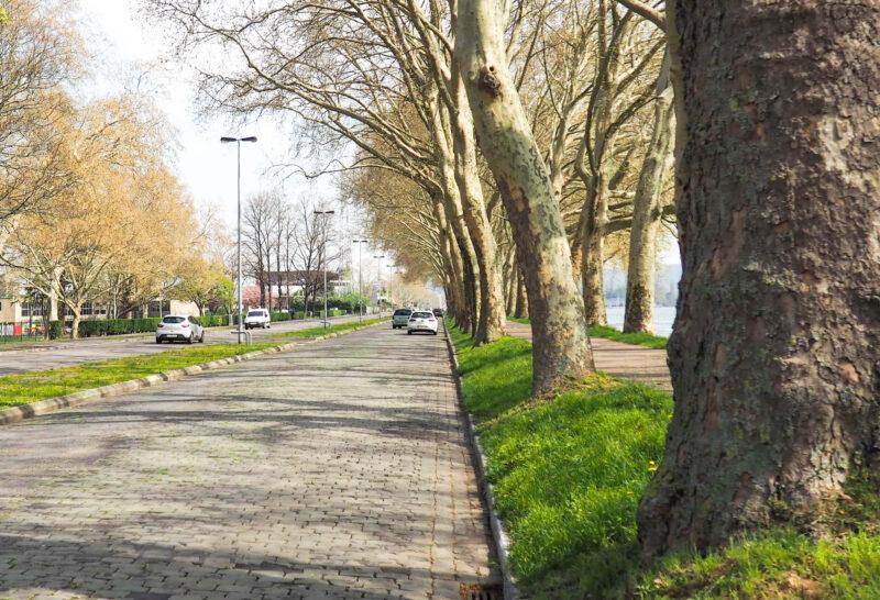 Le site de Coronmeuse devient une zone d’enjeu communal (ZEC)