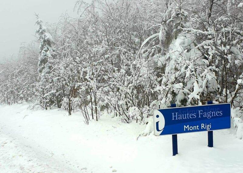 Les promenades dans les Hautes-Fagnes à nouveau autorisées ce week-end
