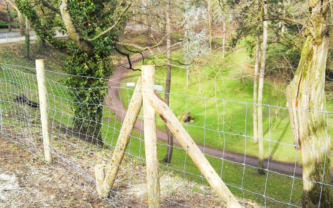 Des clôtures attendent les moutons sur la colline du parc de Cointe