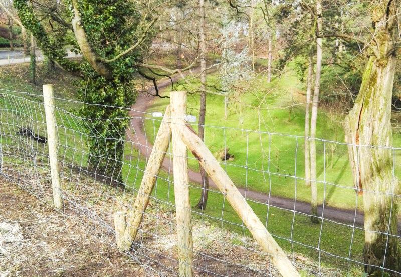 Des clôtures attendent les moutons sur la colline du parc de Cointe