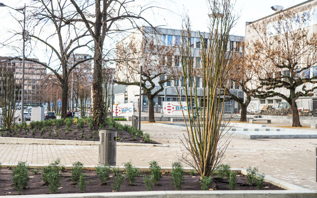 La nouvelle place des Carmes est terminée