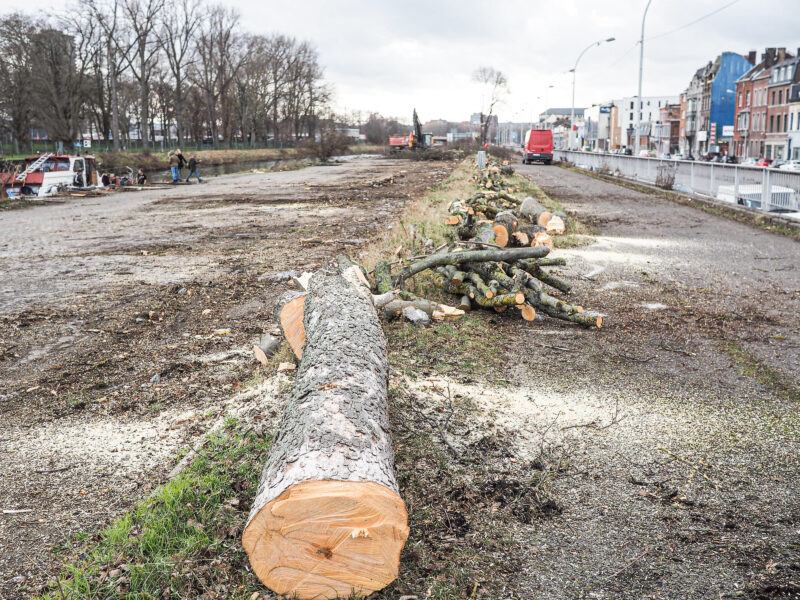 27 arbres abattus pour pouvoir construire le nouvel éco-quartier de Coronmeuse