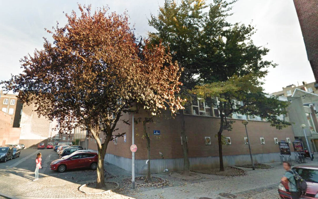 La rénovation de la piscine d’Outremeuse début avril commence par l’abattage de 4 arbres