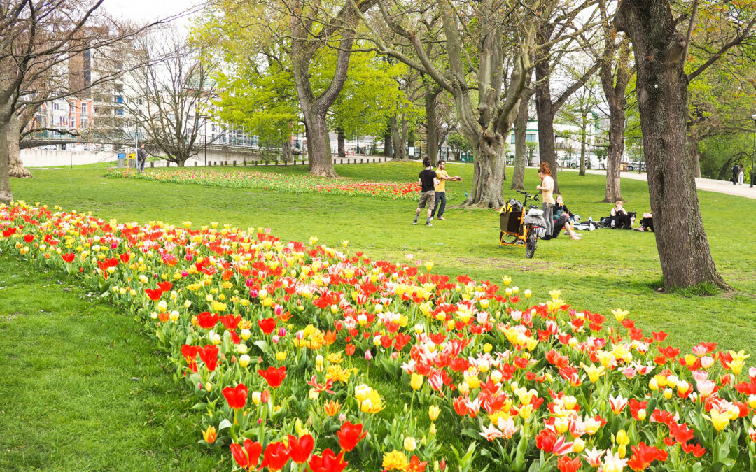 Il n’y a plus d’heure de fermeture pour le parc de la Boverie et le Jardin Botanique