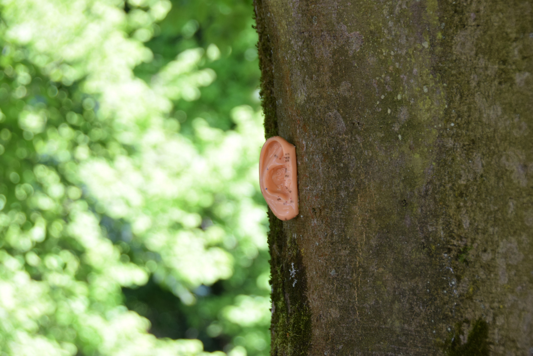 Sons, installations, peintures: exposition gratuite de Jeanne Susplugas en plein air au Sart-Tilman
