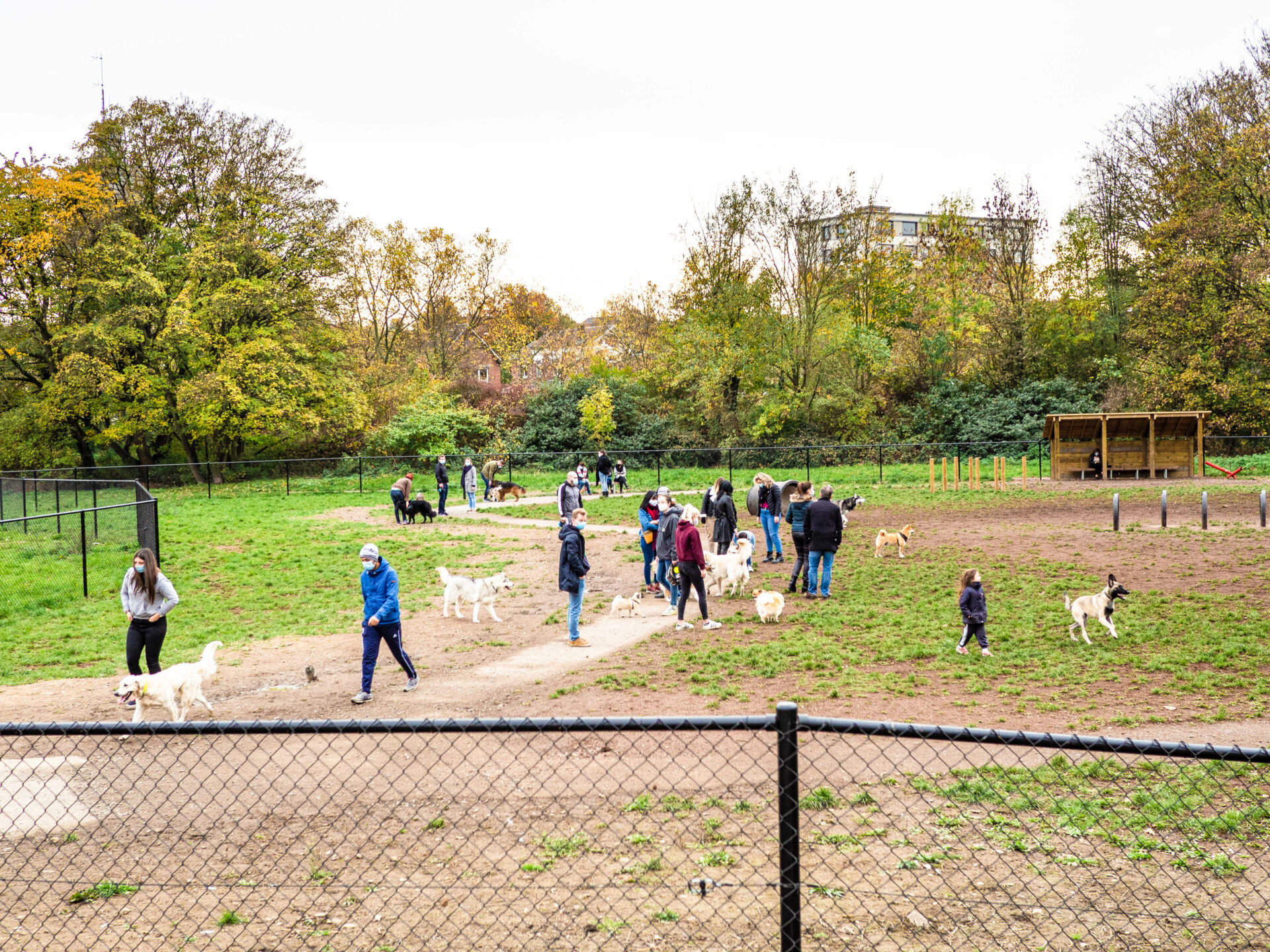 Parc canin de Cointe: un règlement strict est désormais d’application