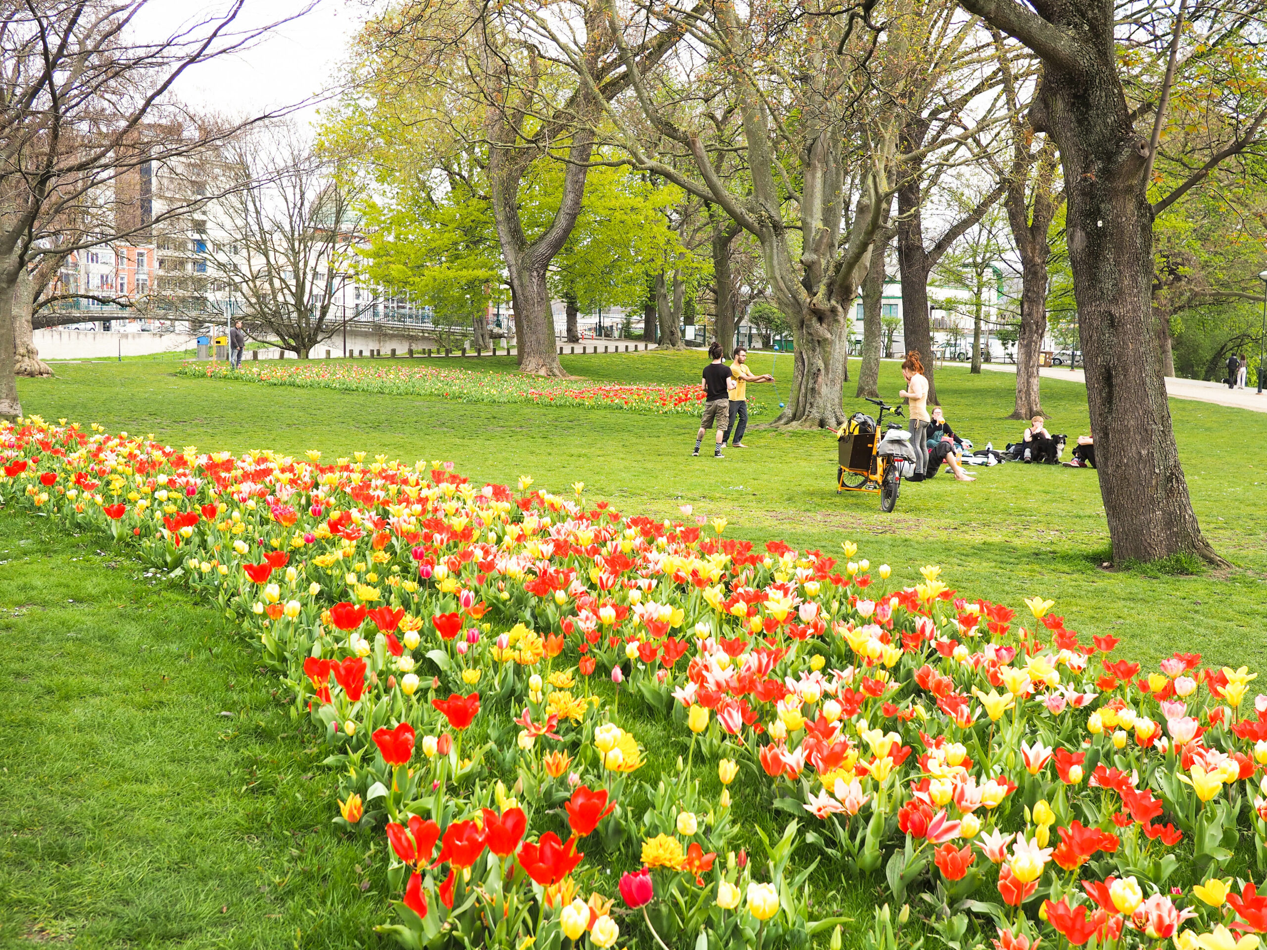 Il n’y a plus d’heure de fermeture pour le parc de la Boverie et le Jardin Botanique