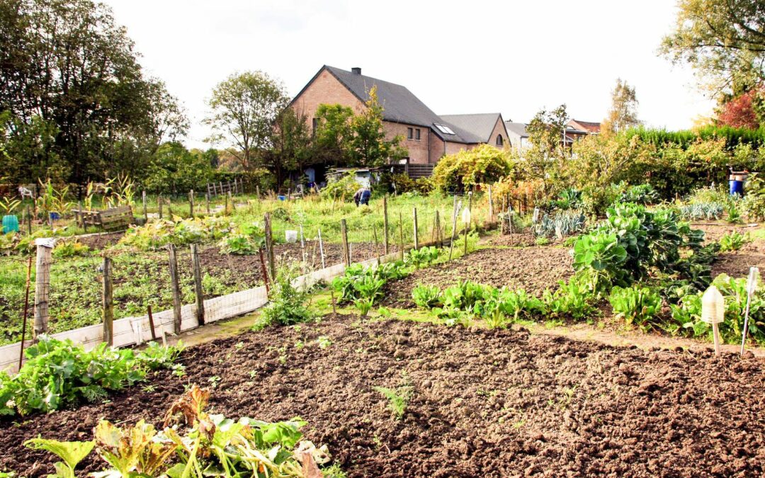 67 jardiniers du Thier-à-Liège sont expulsés par la Ville à cause de la pollution: ils ne veulent pas partir