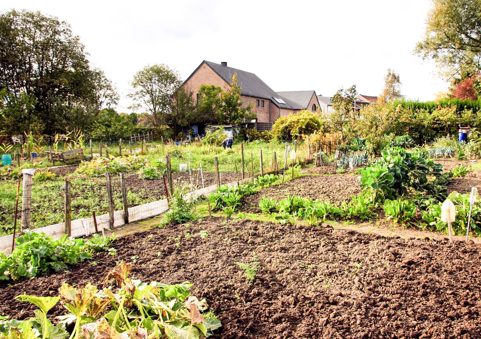 67 jardiniers du Thier-à-Liège sont expulsés par la Ville à cause de la pollution: ils ne veulent pas partir