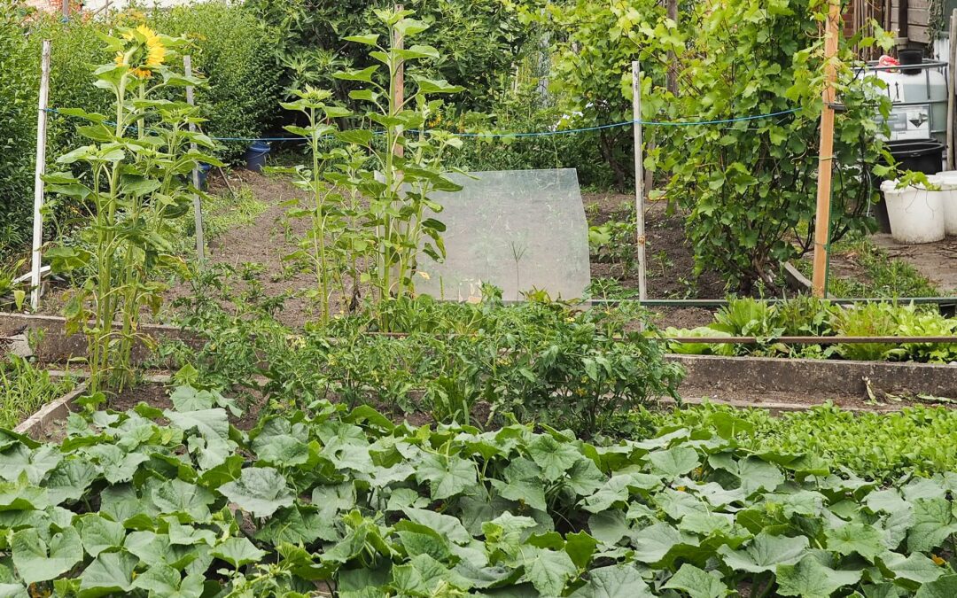 Expulsion des jardiniers du Thier-à-liège: la Ville suspend sa décision jusqu’à vendredi prochain