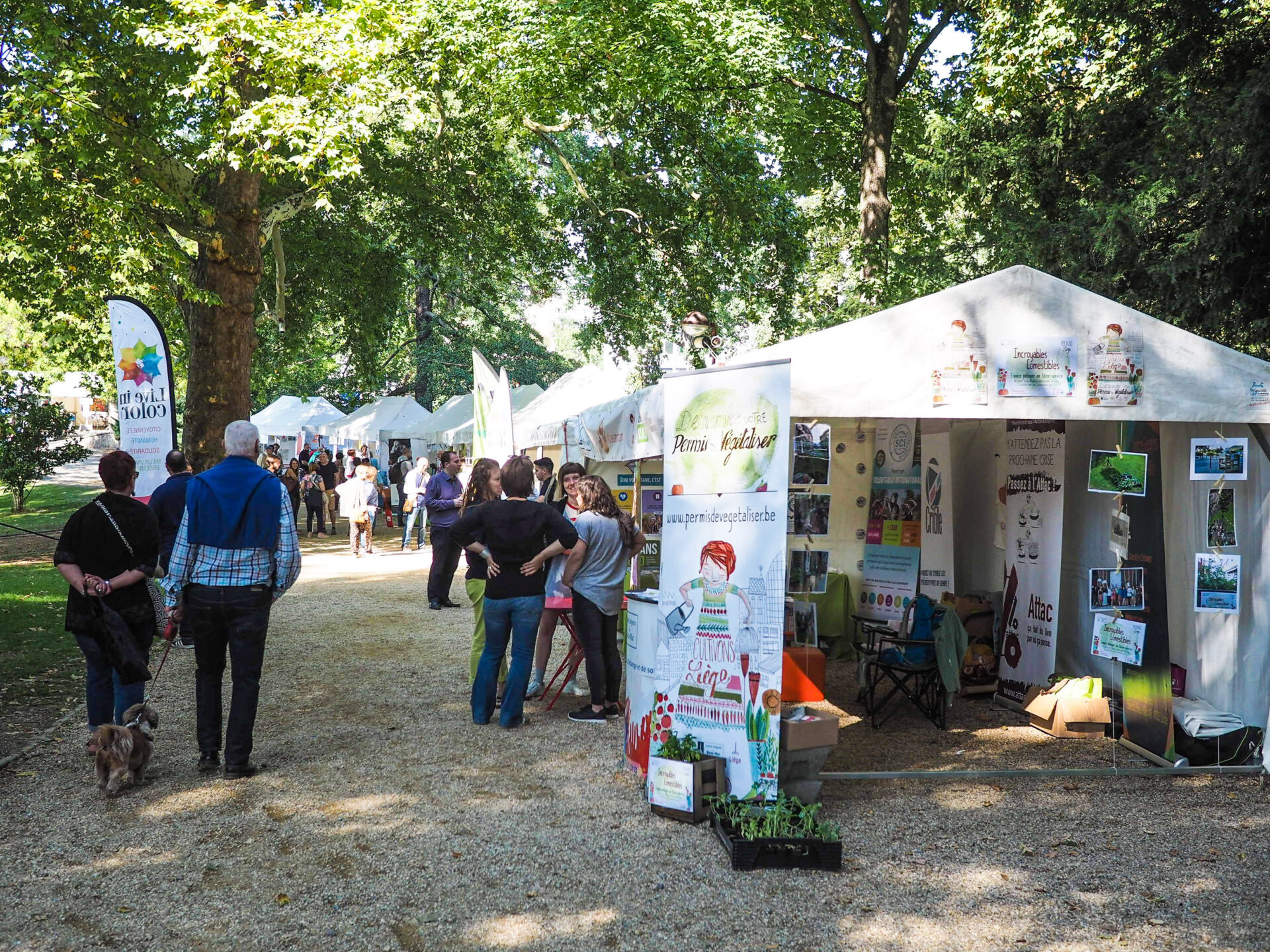 Grandes Retrouvailles des associations et clubs de loisirs ce week-end à la Boverie
