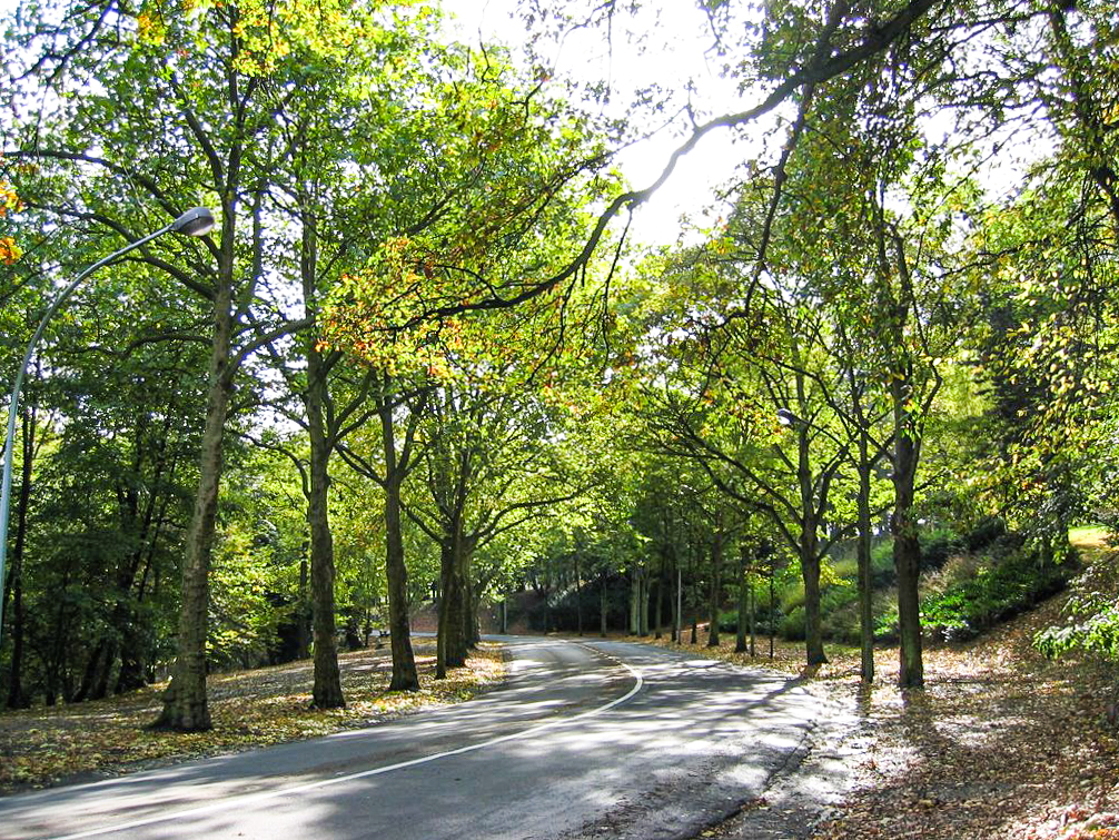 Nouveau tronçon du boulevard Kleyer mis en sens unique: une déviation en place