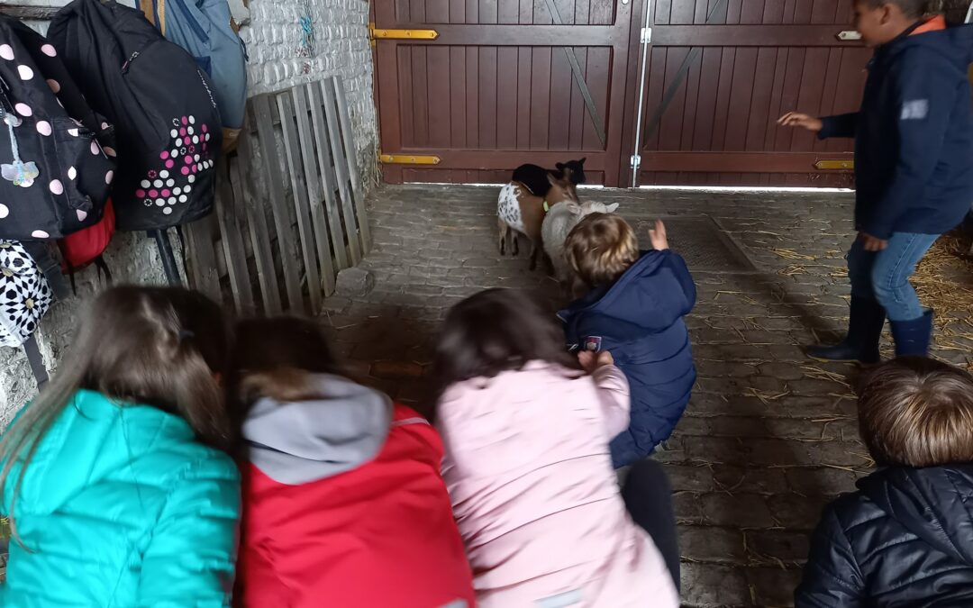 Fête des Trolls ce dimanche à la Ferme des enfants