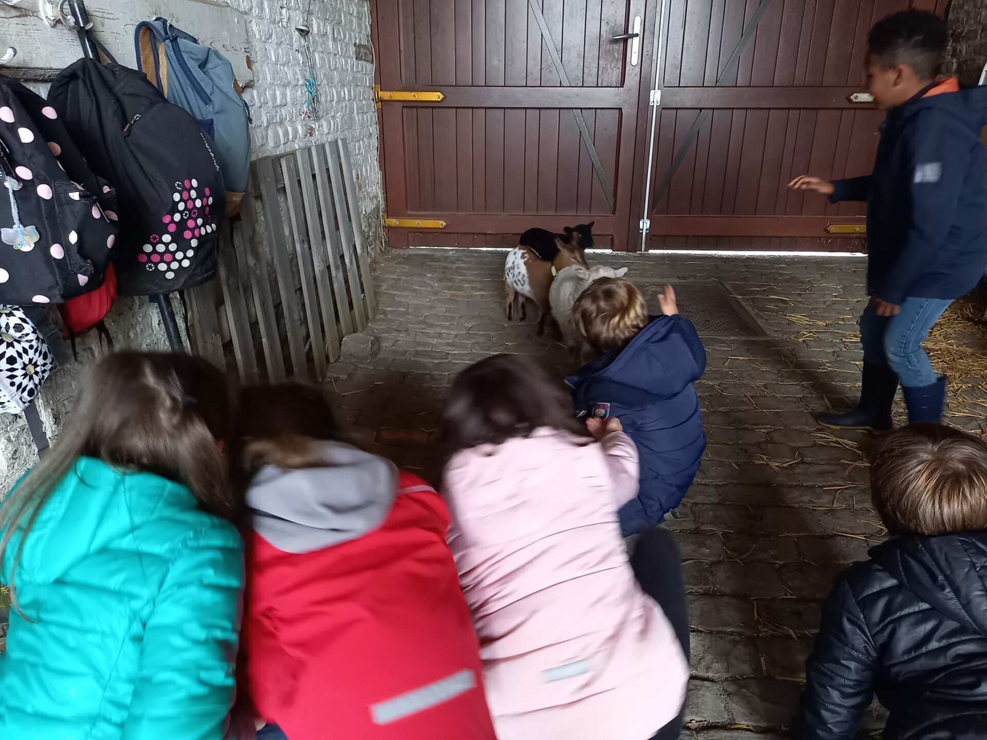 Fête des Trolls ce dimanche à la Ferme des enfants