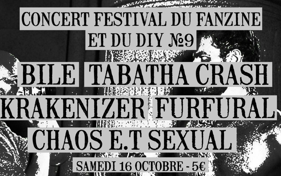 Agenda ► Concert / 9ème Festival du Fanzine, de la sérigraphie et du DIY