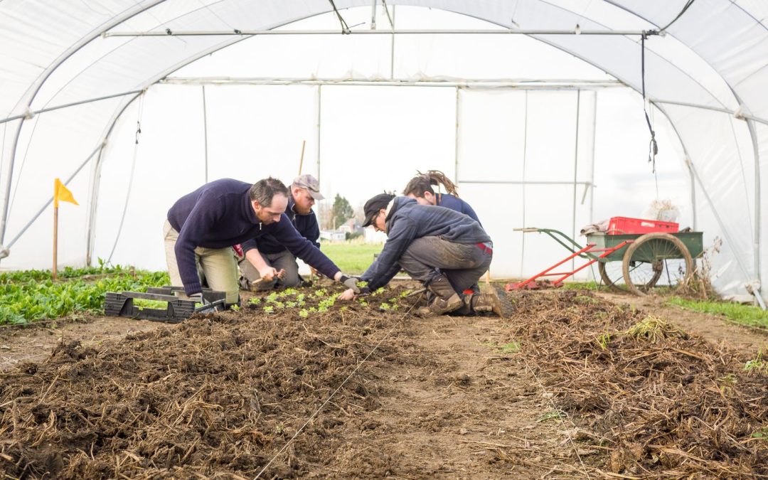 Les maraîchers liégeois en difficultés appellent au soutien