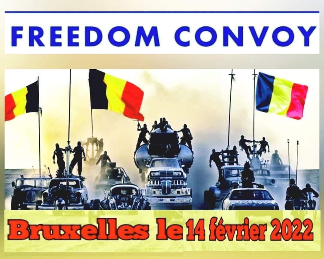 Pour l’UBT, les « Freedom convoys » salissent le métier de routier