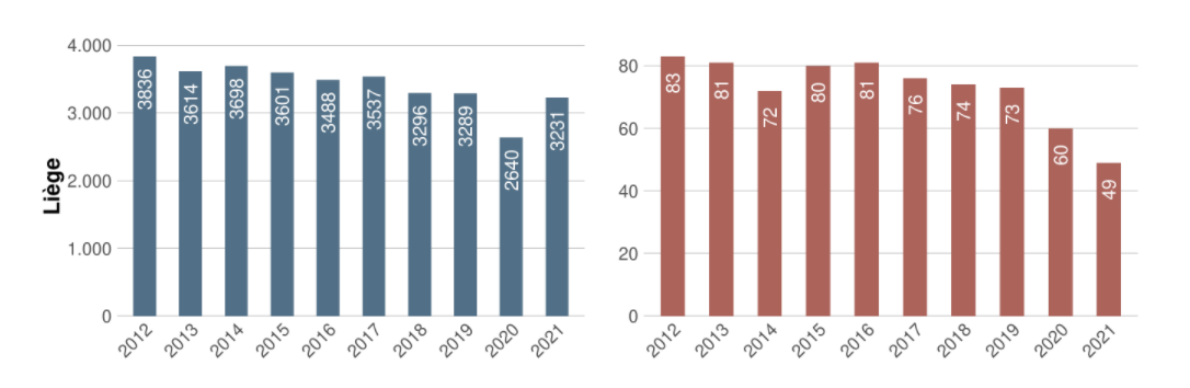 Graphiques accidents 2021