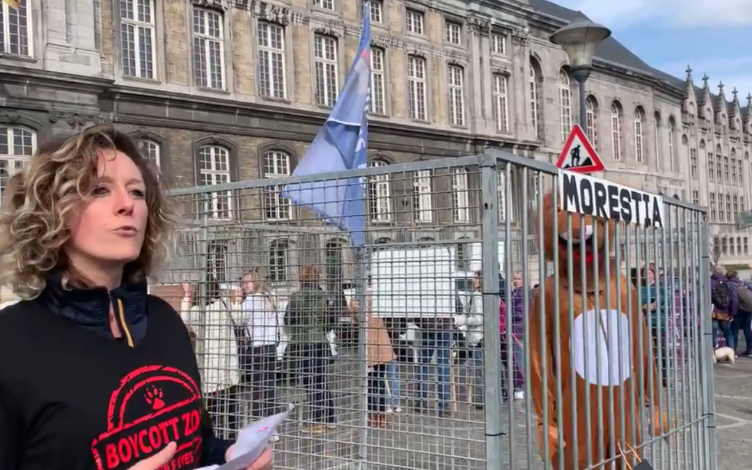 Un zoo humain sur la place Saint-Lambert pour protester contre les conditions de détention des animaux