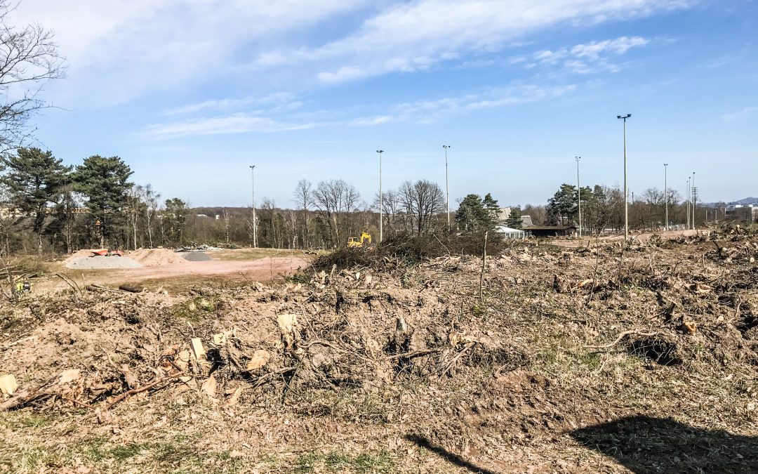 Plus de 100 arbres abattus au Sart-Tilman pour construire une salle et des terrains de sport