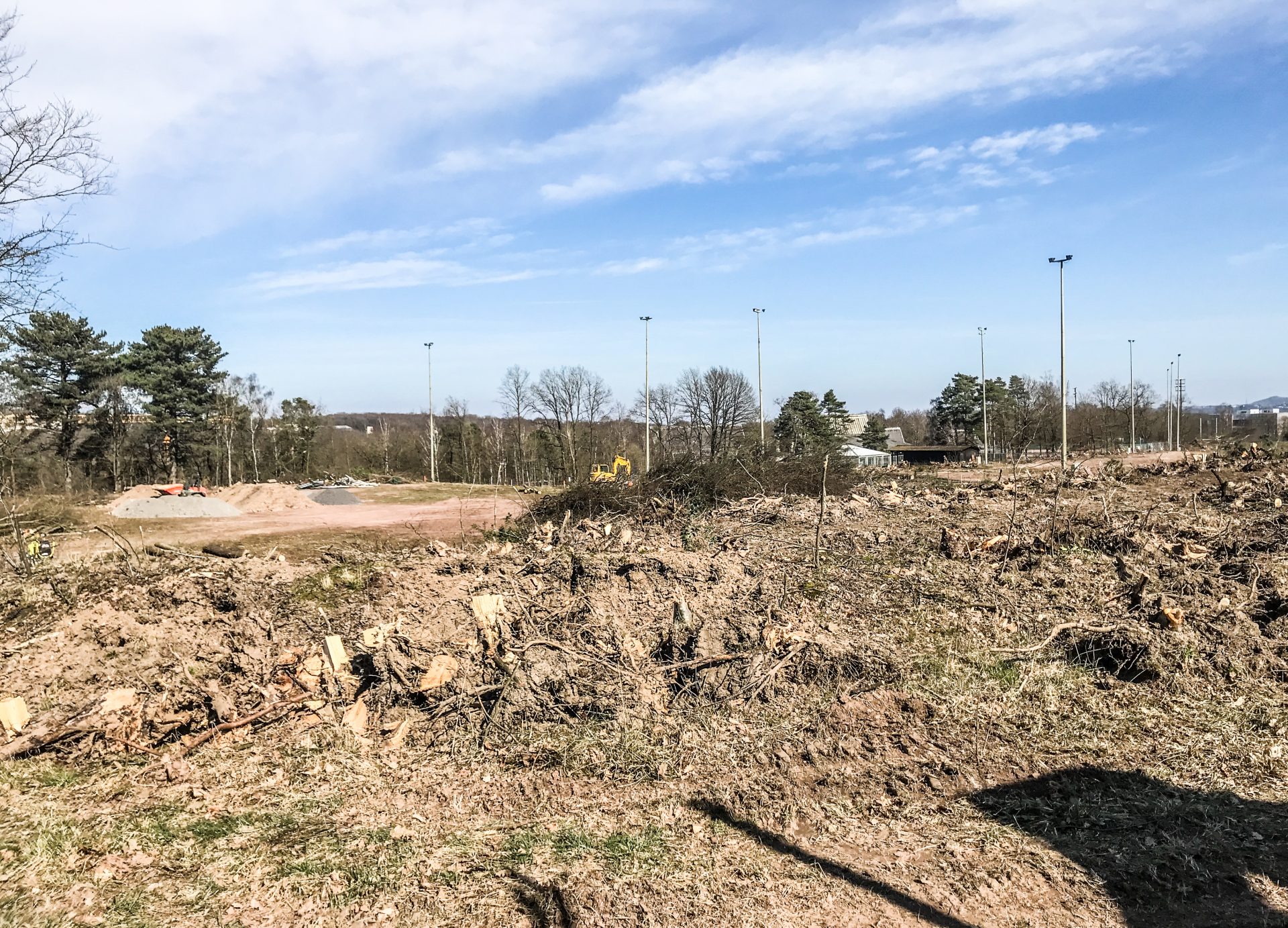 Plus de 100 arbres abattus au Sart-Tilman pour construire une salle et des terrains de sport