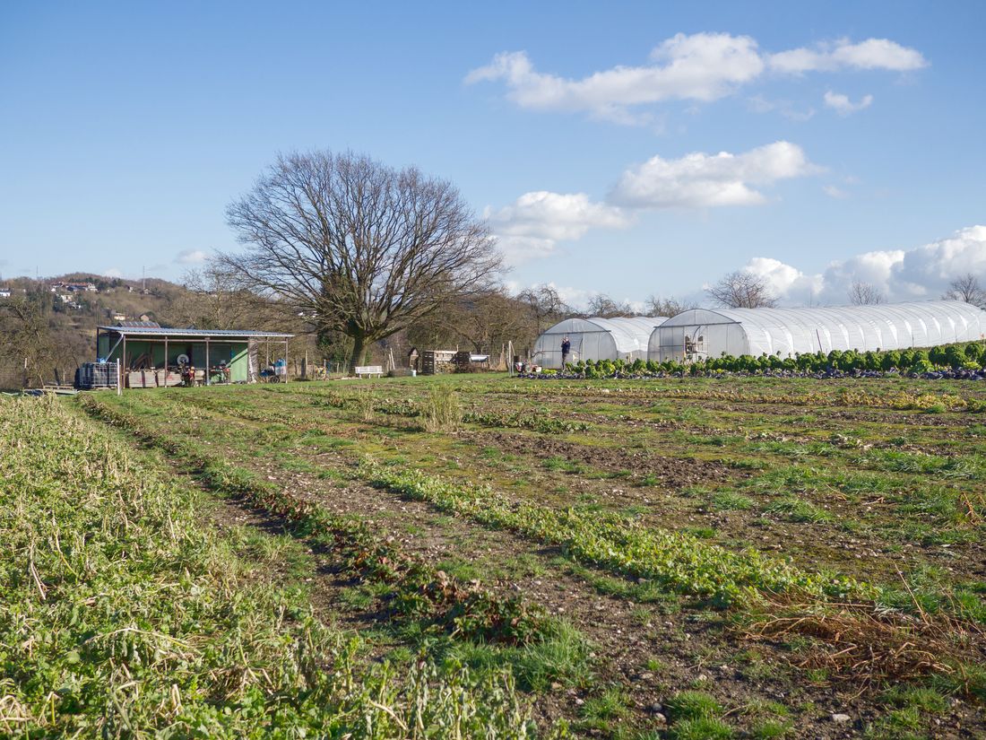 Nourrir Liège Campus 2022:  une cinquantaine d’activités pour sensibiliser aux multiples enjeux de l’alimentation