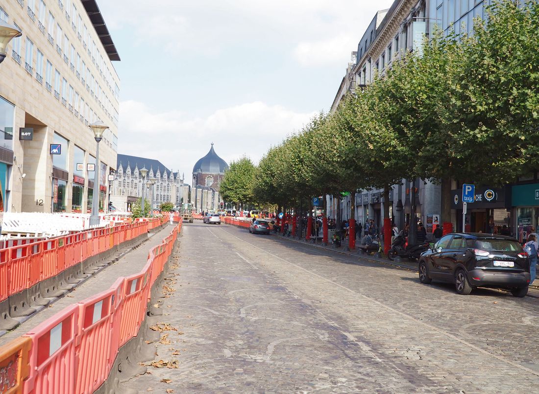 Manque de sécurité dans la future zone partagée entre cyclistes et piétons rue Joffre?