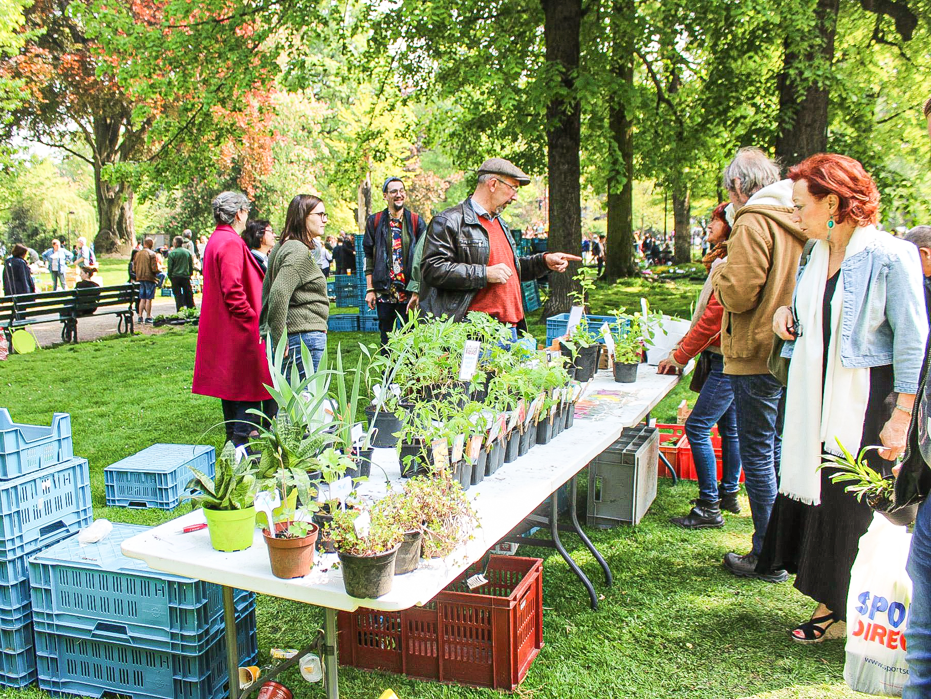 Bourse aux plantes et graines le 1er mai au Jardin Botanique
