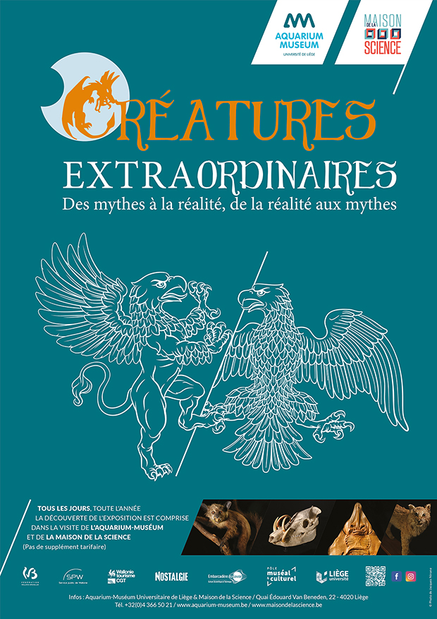 Exposition à l'Aquarium-Muséum Universitaire de Liège  : "Créatures EXTRAordinaires - Des mythes à la réalité, de la réalité aux mythes"