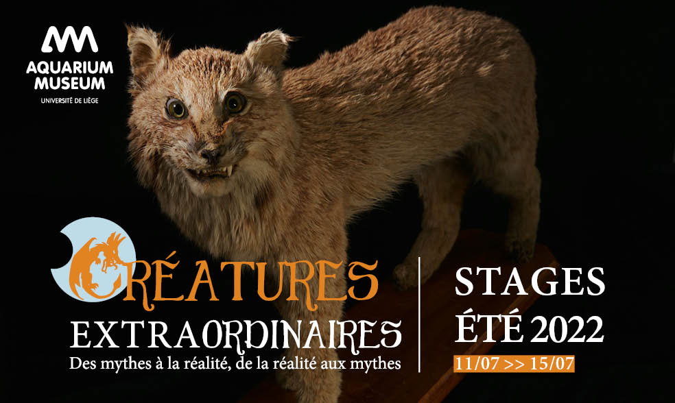 Agenda ► Stage pour enfants à l’Aquarium-Muséum Universitaire de Liège – Créatures EXTRAordinaires