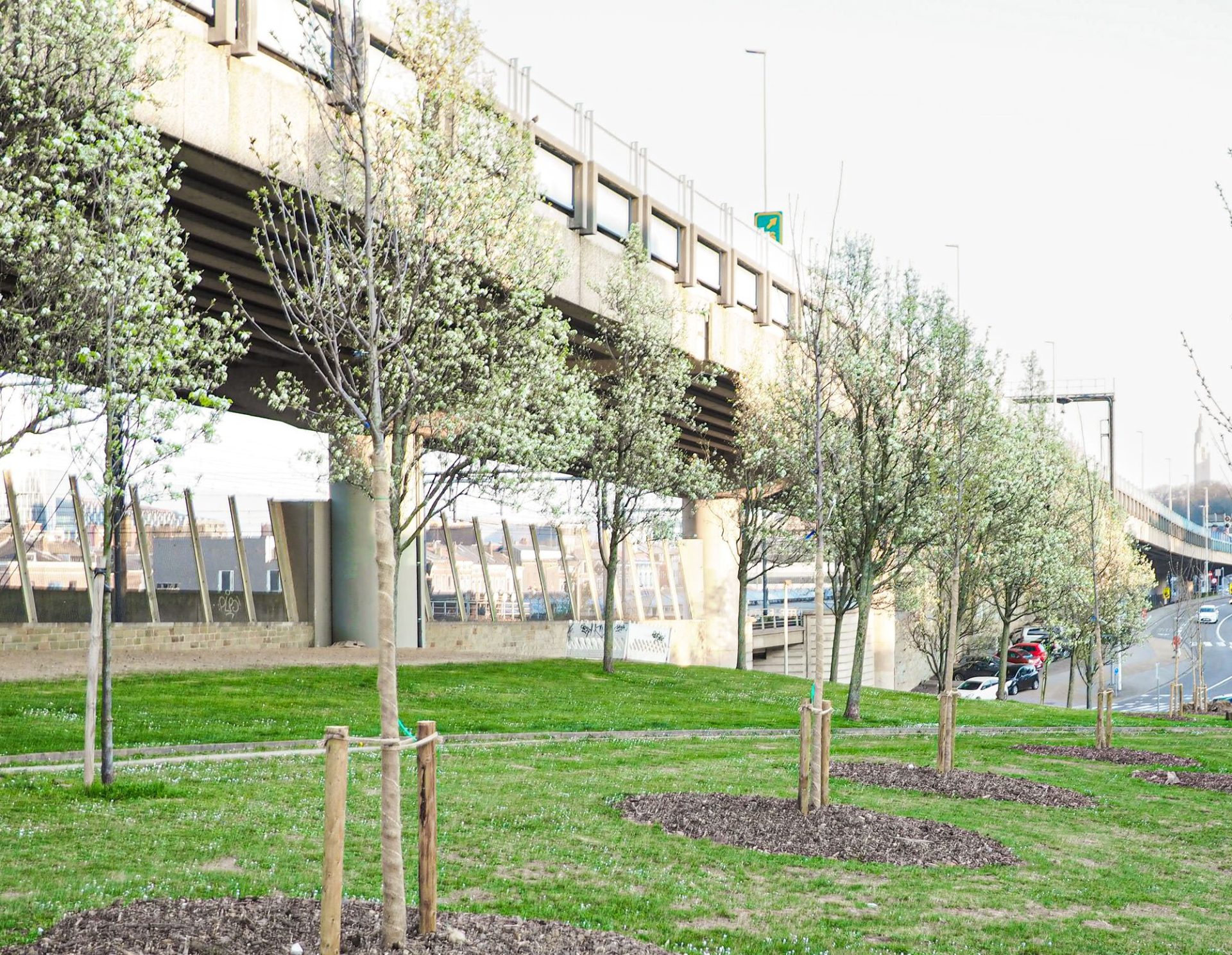 La Ville souhaite recruter et former une vingtaine de référents pour les arbres au sein de chaque quartier