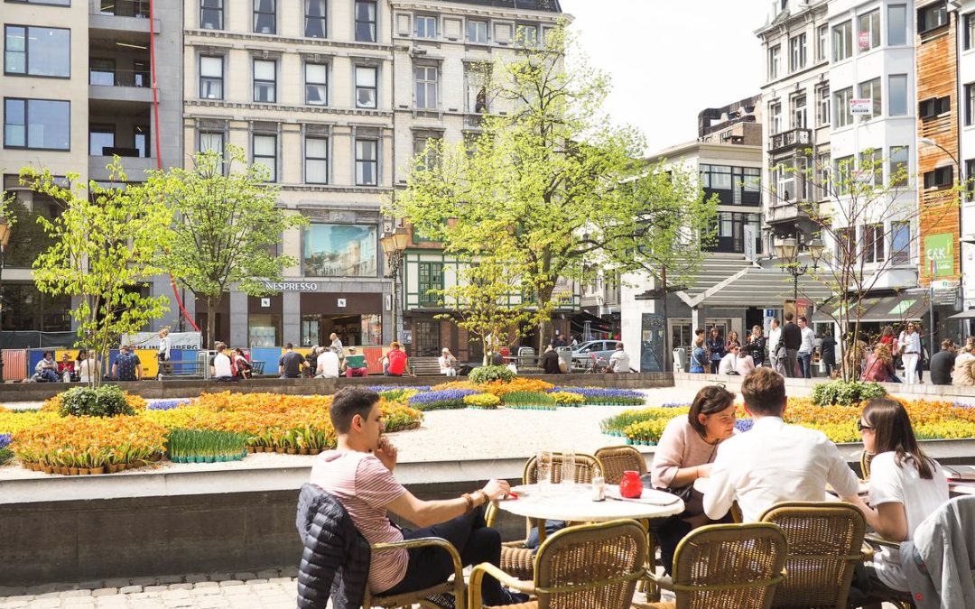 Verger, potager et champ fleuri au milieu de la place Cathédrale