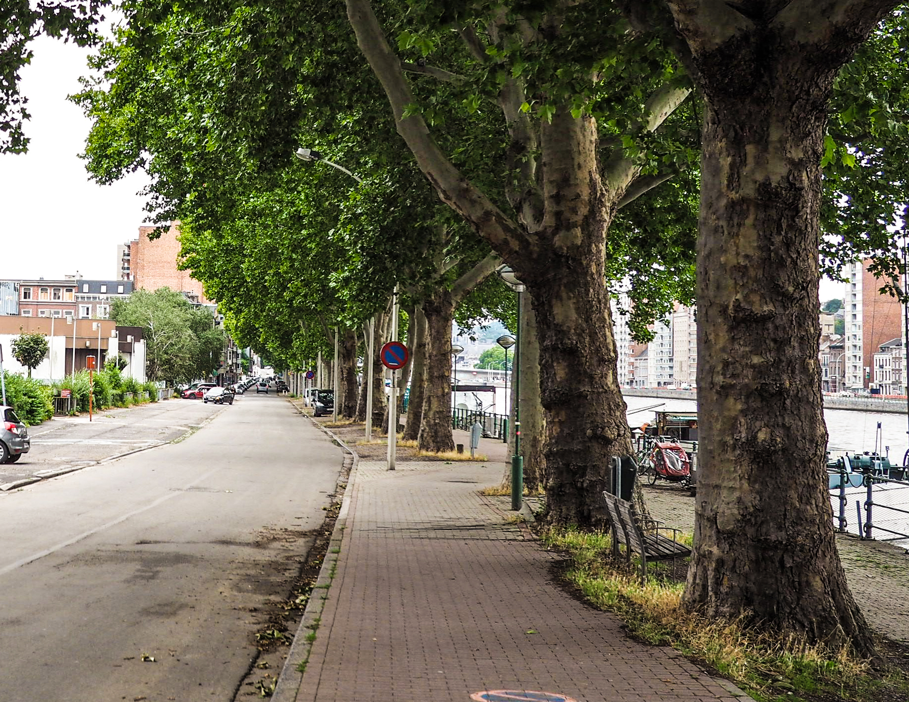 Le corps d’un trentenaire repêché dans la Meuse ce lundi: début de l’enquête