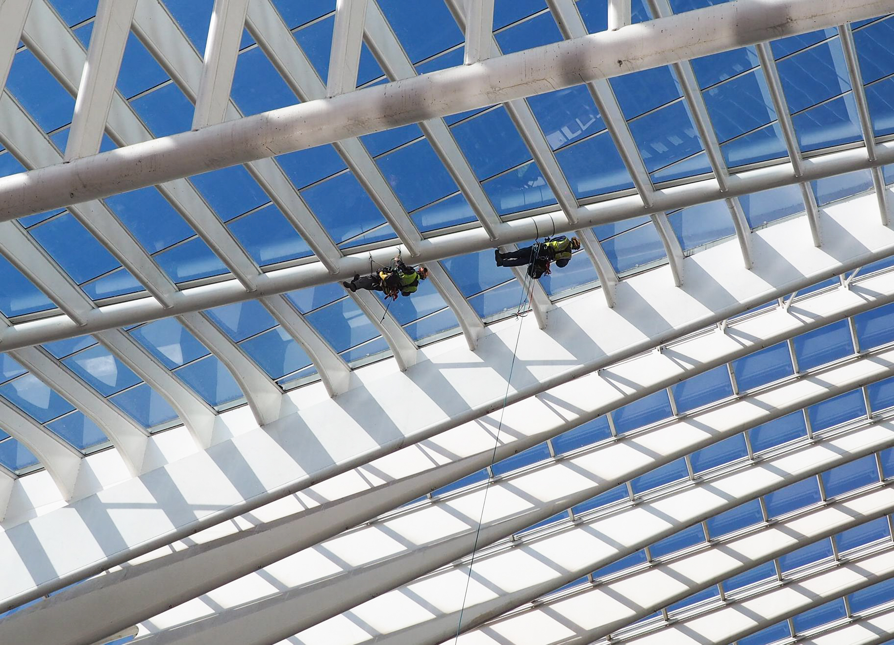 4 mois et une vingtaine de cordistes pour nettoyer la verrière et les bétons de la gare des Guillemins
