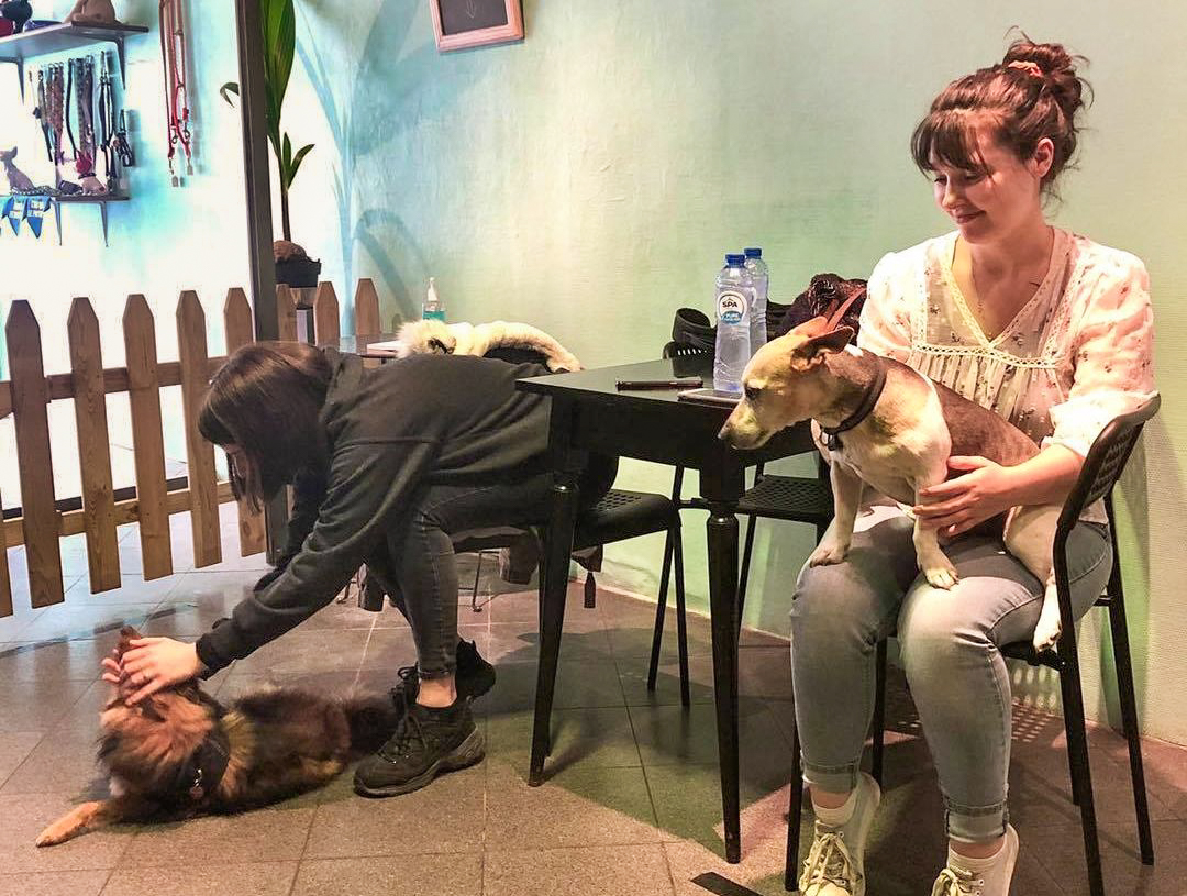 Le premier café à chiens de Liège a fermé boulevard d’Avroy