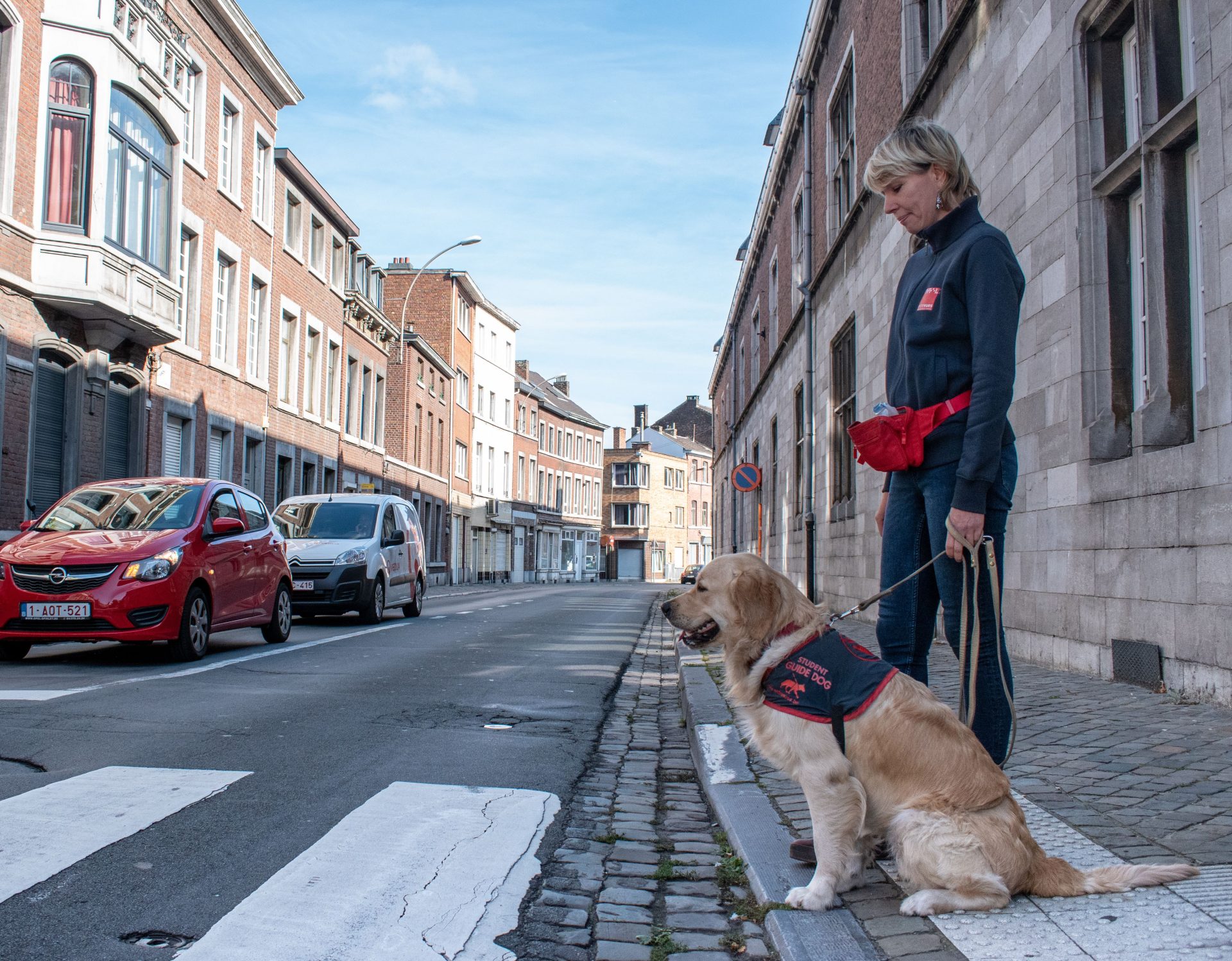 Une marche ADEPS organisée à Liège en faveur des chiens guides