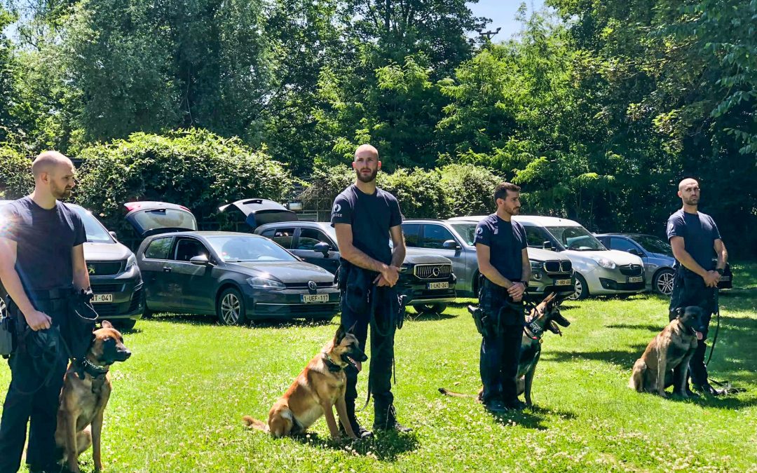 La police de Liège adopte quatre malinois à la SRPA et en fait des chiens d’élite au service du citoyen
