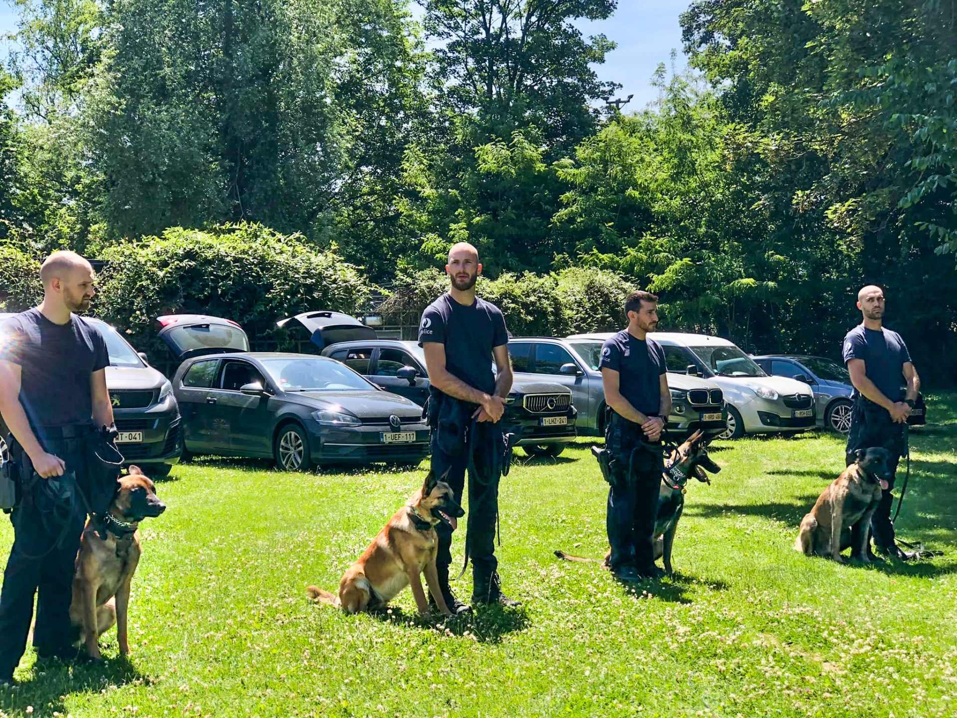 La police de Liège adopte quatre malinois à la SRPA et en fait des chiens d’élite au service du citoyen