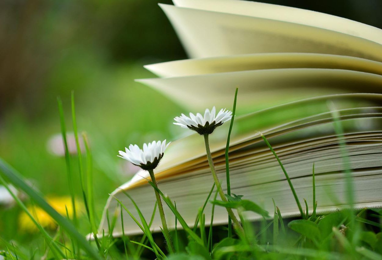 Grande opération de bookcrossing relancée par la bibliothèque des Chiroux