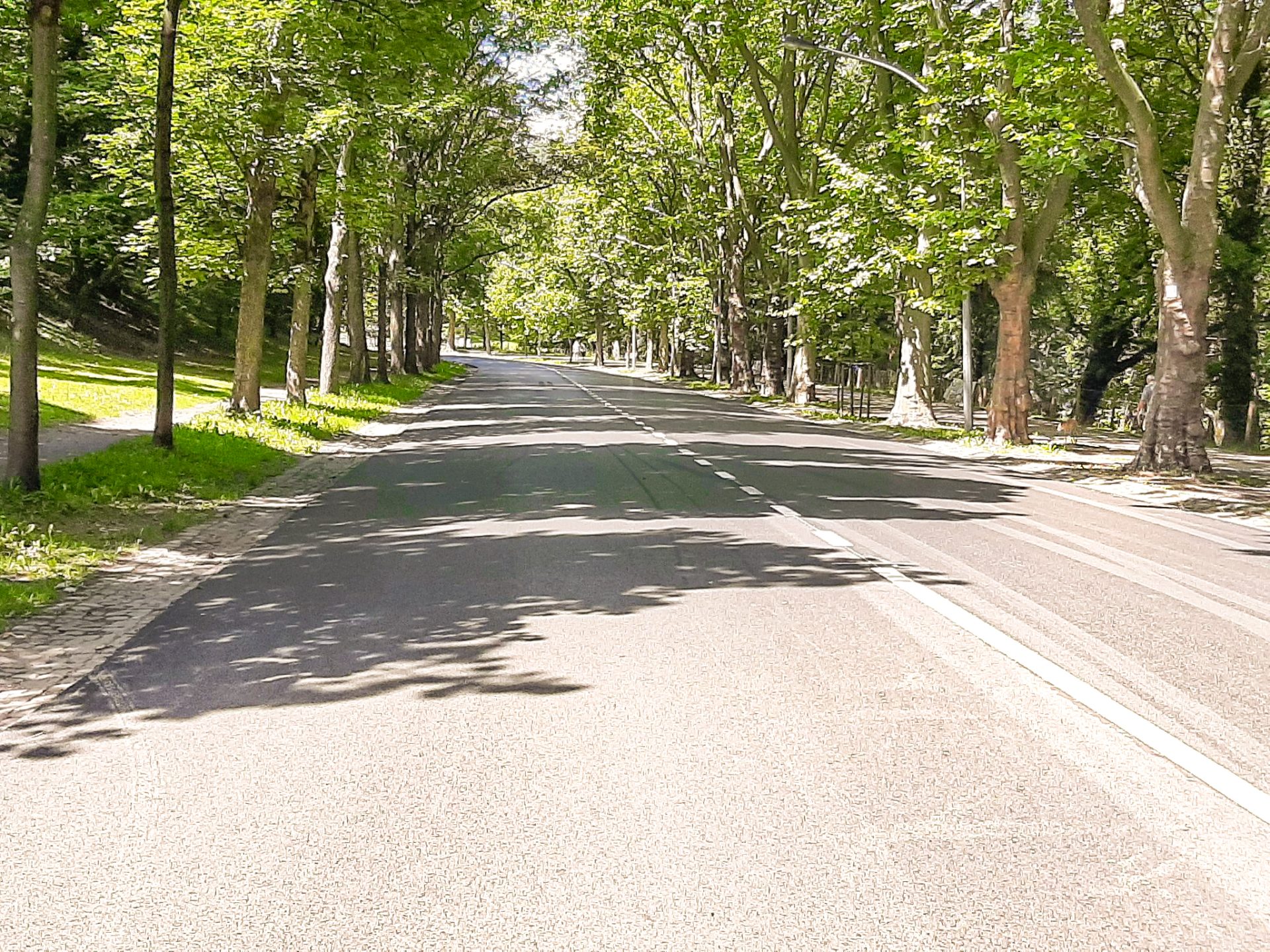 Le boulevard Kleyer est refait et complètement rouvert à la circulation