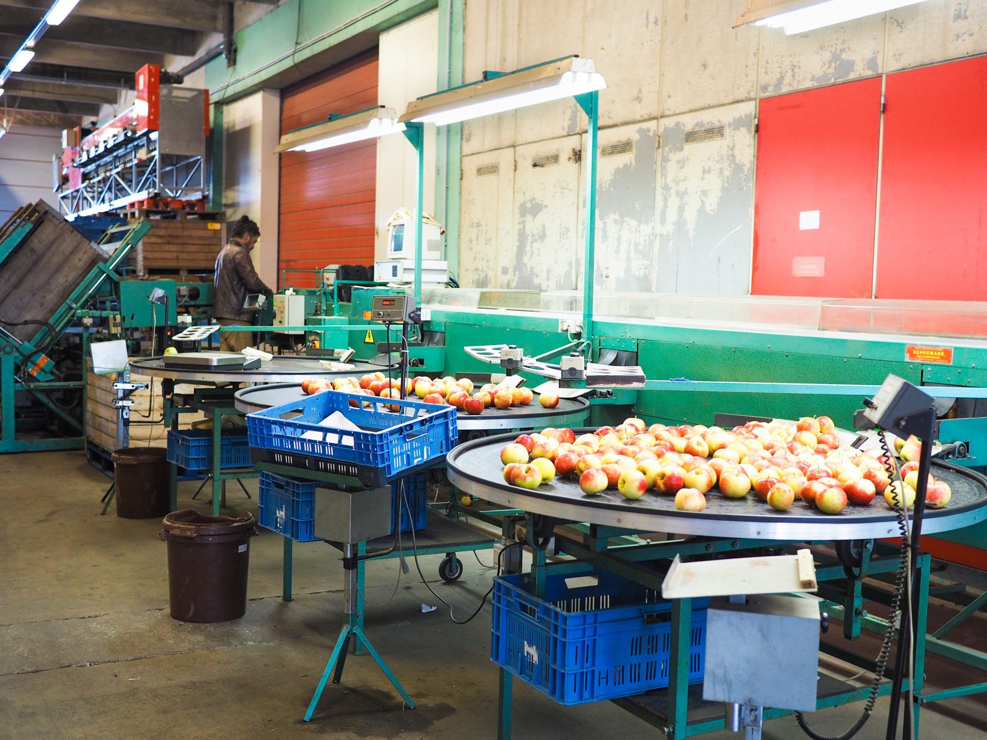 Droixhe: nouvelle plateforme logistique de 3000 m² pour traiter les légumes des maraichers locaux