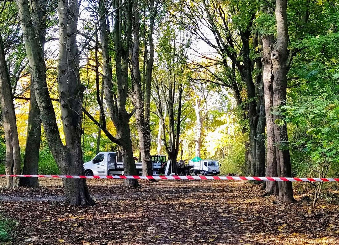 100 arbres doivent être abattus à trois endroits: Cointe, la Chartreuse et les Coteaux