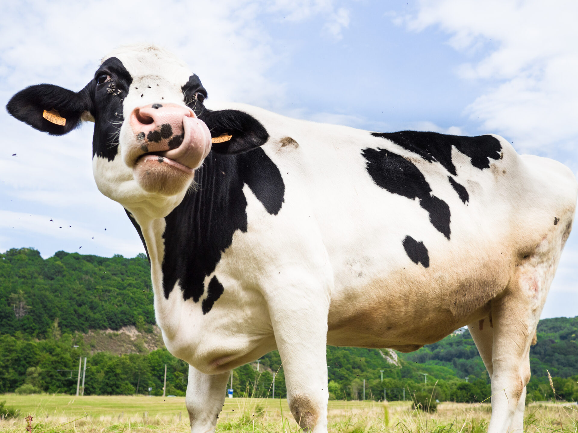 Rejoignez le futur Conseil de Politique Alimentaire de Liège