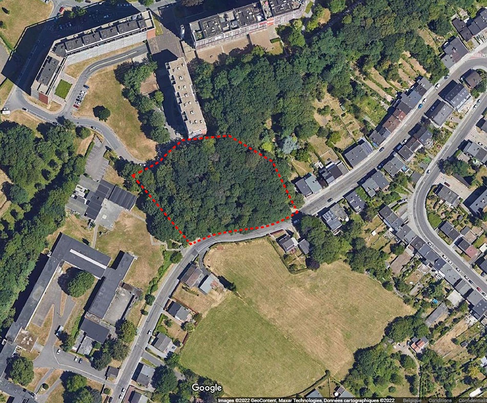 La Ville refuse le projet urbanistique rue des Bruyères: l’abattage des arbres pointé du doigt