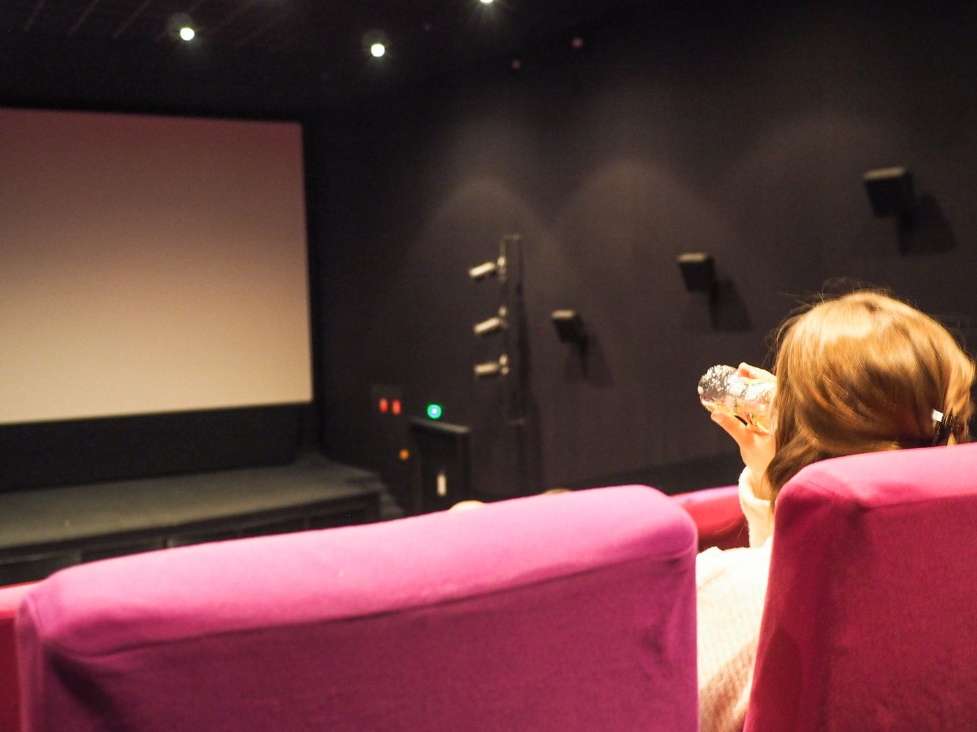 Nombre de spectateurs en baisse dans les cinémas des Grignoux en 2022 mais sans catastrophisme