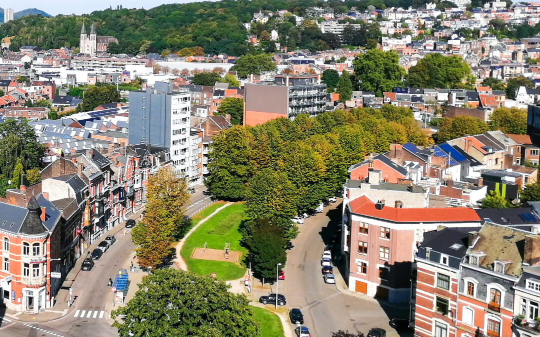 Opération d’élagage et abattage de 8 arbres boulevard Emile de Laveleye avant des replantations